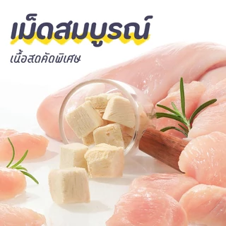 【PET RECORD】🔥 บ้านแมวต้นไม้ 2/3 ชั้น คอนโดแมว ที่ลับเล็บ ที่นอนแมว พับได้ พร้อมของเล่น