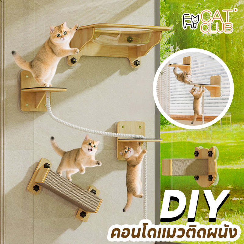 คอนโดแมวติดผนัง อะไหล่คอนโดแมวDIY เสาลับเล็บแมว เปลญวนแมว รับน้ำหนักได้ 20kg แข็งแรงทนทาน