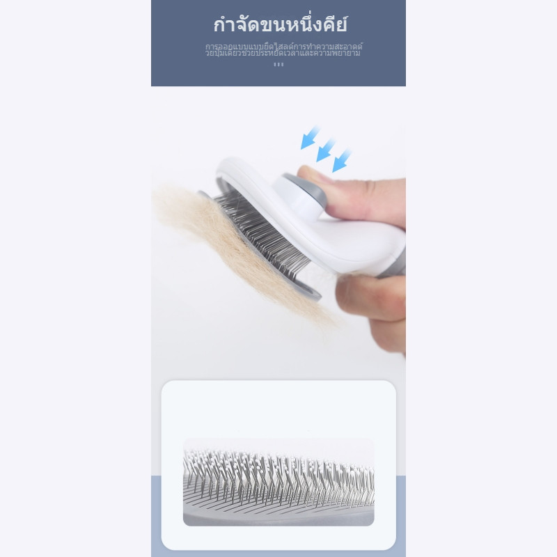 รูปภาพ 6