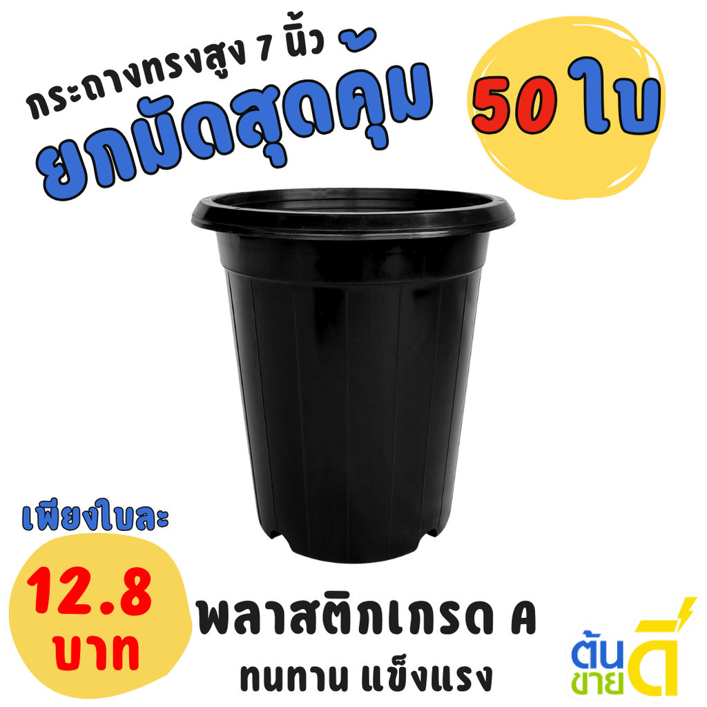 กระถาง แคคตัส ไม้กราฟ ทรงสูง 7 7.3 8 นิ้ว สีดำ Bundle 20 ใบ ชิ้น อัน