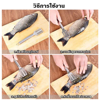 Featured ที่ขูดเกล็ดปลา ที่ขอดเกล็ดปลา สแตนเลสไม่เกิดสนิม มีด้ามจับถนัดมือ