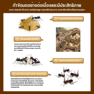ยาฆ่ามด เหยื่อมด ฆ่าตายยกลัง เหยื่อกำจัดมด ไล่มด ฆ่ามด กำจัดแมลง กำจัดได้สิ้นซากตายยกรัง กำจัดได้สิ้นซากตายยกรัง