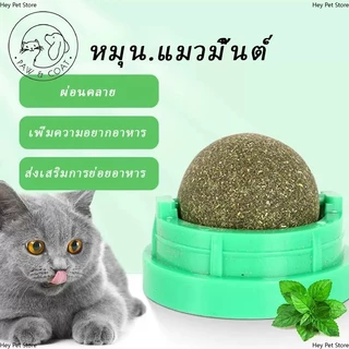 กัญชาแมว ทำให้ภายในช่องปากสดชื่น คลายเครียด อาหารสุดโปรดของแมว ลดอาการขนร่วง ของกินเล่นแมว เพื่อกระตุ้นความฟินของแมว
