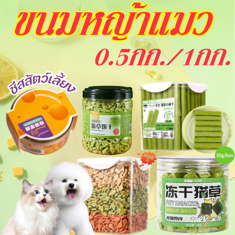 ขนมหญ้าแมว 60ราก บรรจุในถังปิดผนึก ช่วยขัดฟัน เพื่อกำจัดก้อนขน ไม้ฟันหญ้าแมว