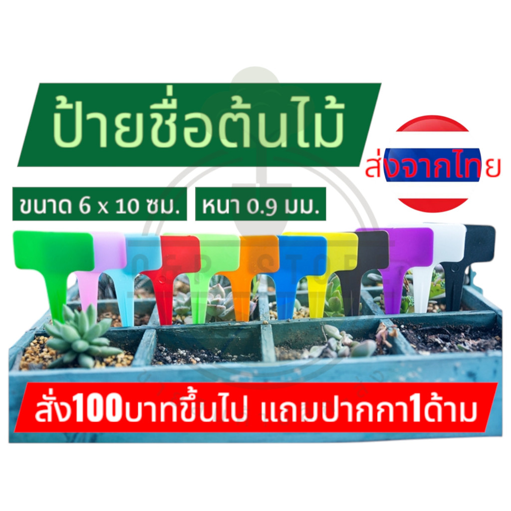 ป้ายชื่อต้นไม้ แบบ*หนา 0.9 มม ขนาด6X10 ซม. (ส่งจากไทย)