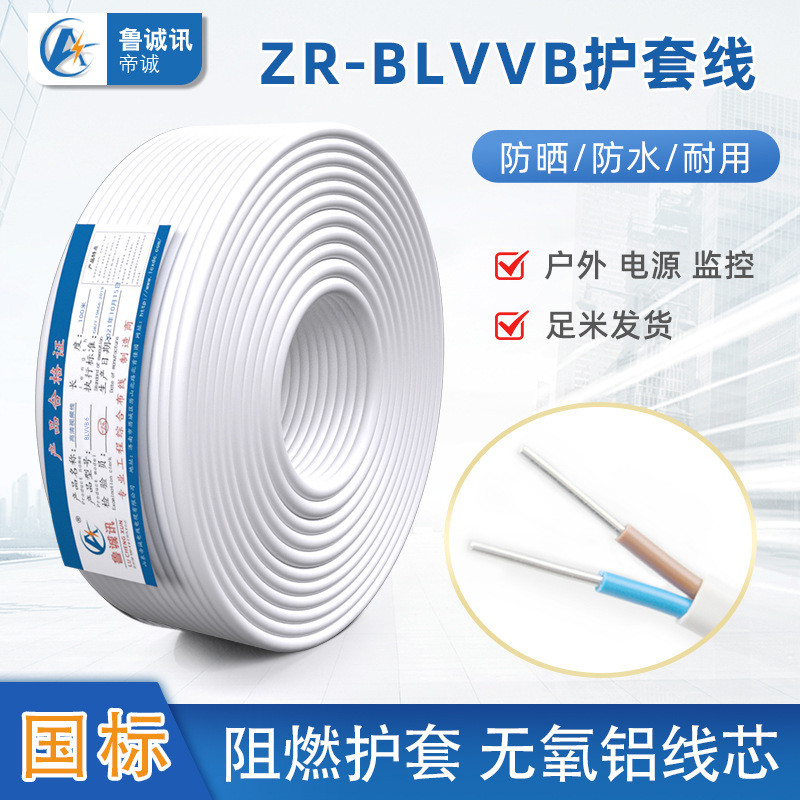 National Standard Dual-Core Dual-Strand Two-Core Aluminium Core Wire Hard Wire Aluminium Wire Two-Co