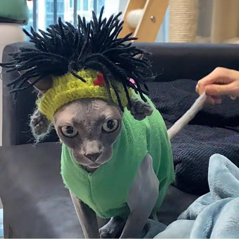 Punk สไตล์แมวตลกหมวก Hairless Cat Sphinx Cat หมวกสุนัขตลก Rock ตกแต่ง Cross-Dressing หมวก wy8.17