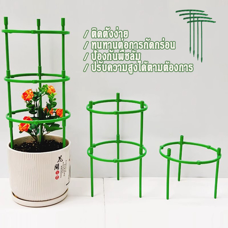 ไม้ค้ำต้นไม้ DIY 14/24cm เสาไม้เลื้อย กระกางต้นไม้ เสามะเขือเทศ โครงปลูกผัก plant trellis โครงไม้เลื้อย