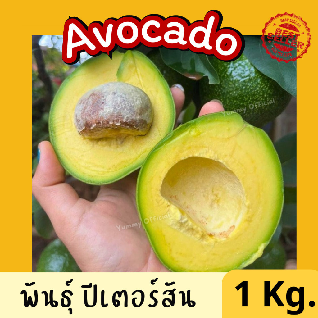 Mungkung 1kg. อโวคาโด พันธุ์ปีเตอร์สัน อโวคาโด้ ผลไม้สด จากสวน เนื้อแน่น มัน หนึบ มีประโยชน์ อะโวคาโด้ เคลมได้ ส่งไว