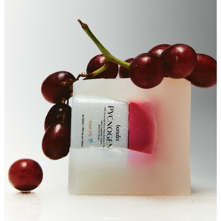 พิโนจินอล เม็ดเหลืองเลือนฝ้า PYCNOGENOL บีนูทร่า benutra ลดเลือนฝ้า กระ จุดด่างดำ 3 กระปุก - รูปที่ 2