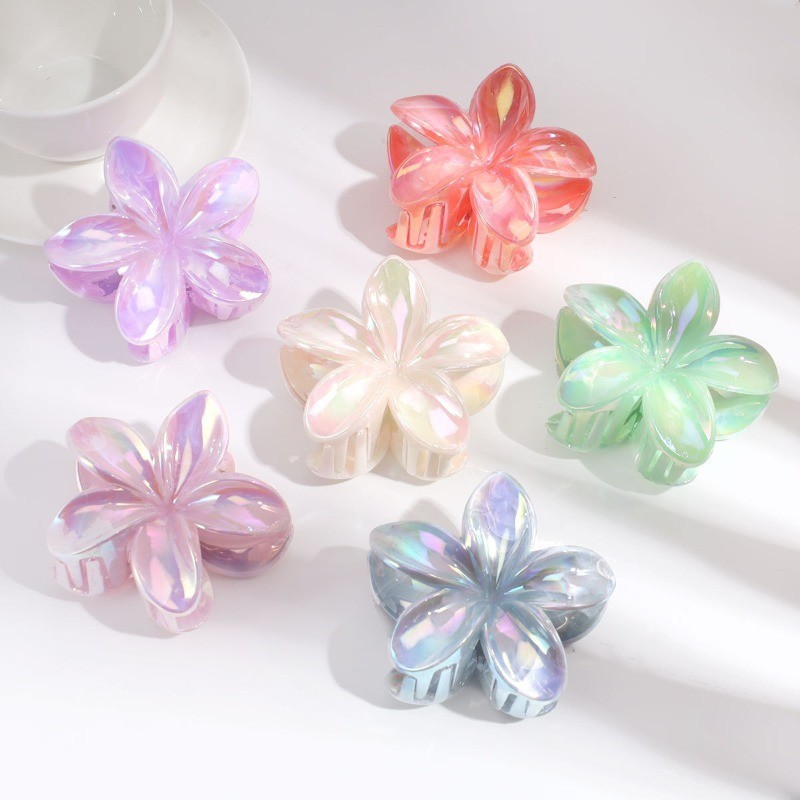 สีแฟชั่น High-End Ladies Clamp