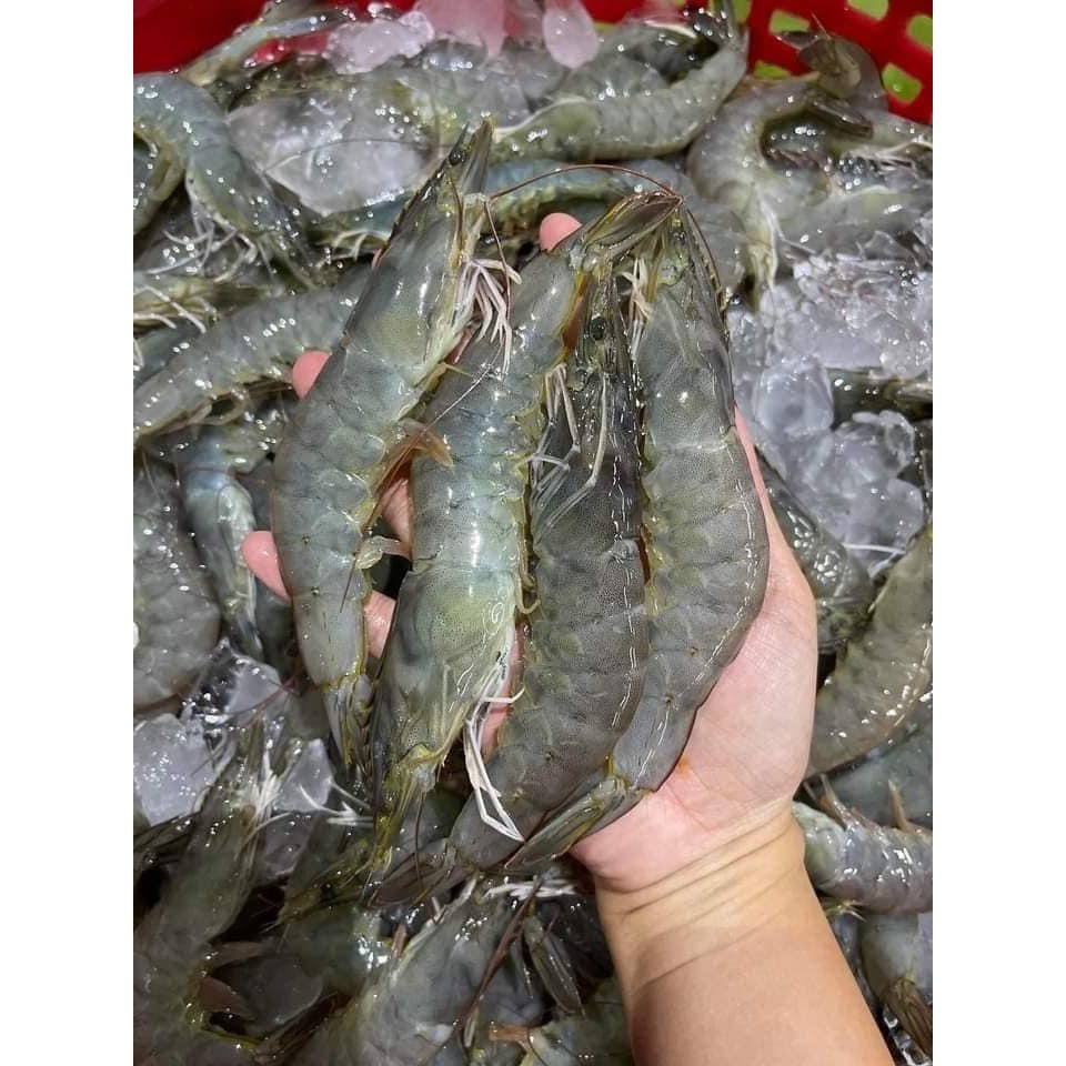 🦐กุ้งสดพร้อมส่ง🦐 กุ้งแม่น้ำ กุ้งลายเสือ กุ้งขาว