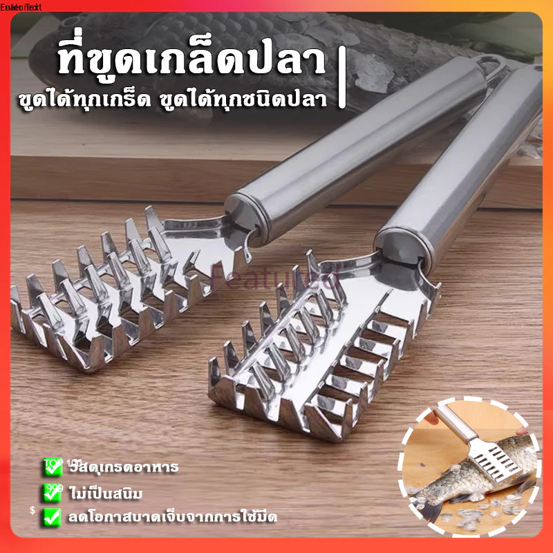 Featured ที่ขูดเกล็ดปลา ที่ขอดเกล็ดปลา สแตนเลสไม่เกิดสนิม มีด้ามจับถนัดมือ