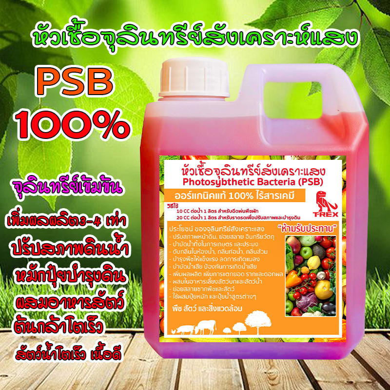 PSB สูตรเข้มข้น ใช้บำบัดน้ำเสีย ใส่บ่อปลา บำรุงราก ผล ใบ ขยายเชื้อได้