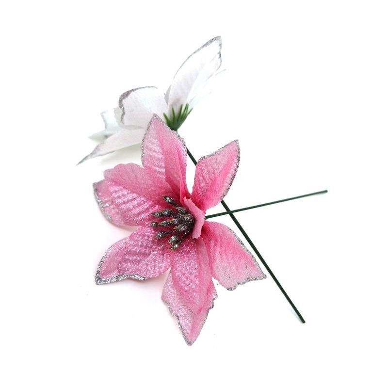 รูปภาพ 7