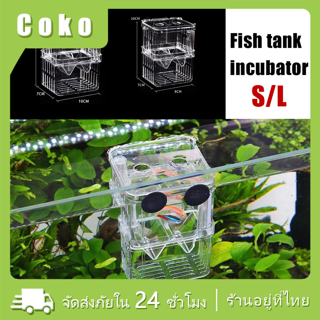 ตู้แยกปลาคลอดลูก มี 2ขนาด แยกได้ 2 ช่อง  แยกลูกกุ้ง และแยกปลาที่กำลังป่วย สีใส