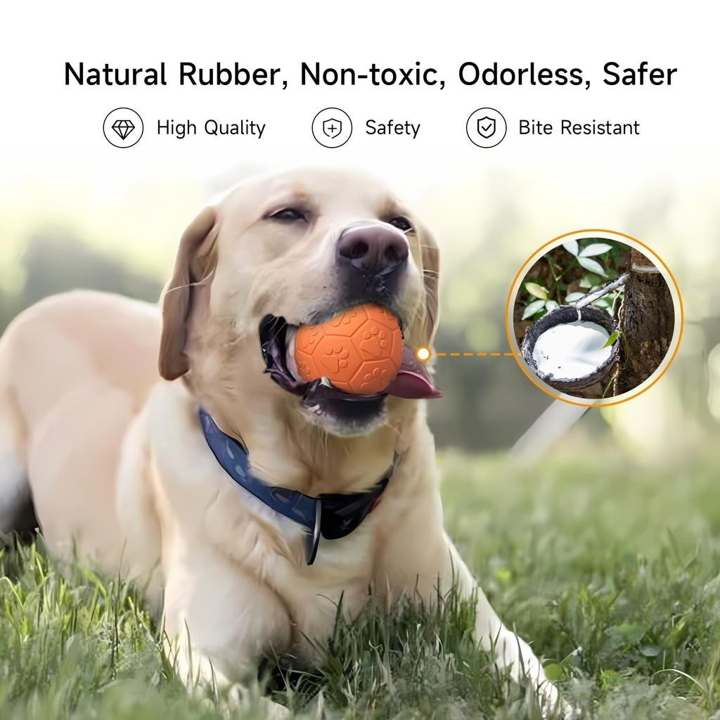 MOMOVIDA Football (DT-15) (DT-15L) ฟุตบอล ลูกบอลสุนัข ลูกบอลฝึกสุนัข ลูกบอลมีเสียงสำหรับสุนัข