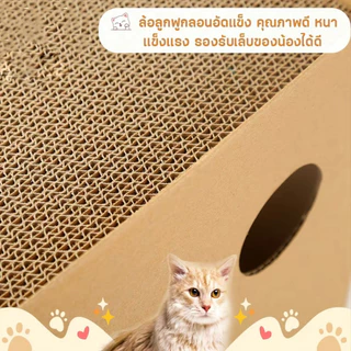 บ้านกล่องลับเล็บแมว ของเล่นแมว กล่องลับเล็บ ที่ฝนเล็บแมว คอนโดแมว ที่ลับเล็บแมว