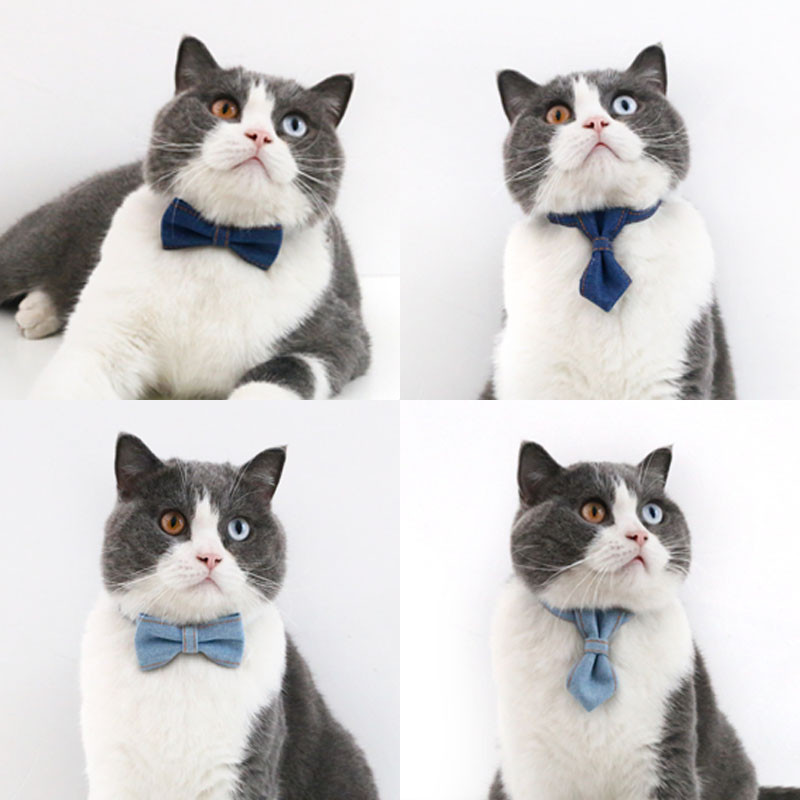 ปลอกคอสัตว์เลี้ยง โบว์ยีนส์ อุปกรณ์สัตว์เลี้ยง ชุดแต่งงานสัตว์เลี้ยง ปรับขนาดได้ เหมาะกับแมว/สุนัข