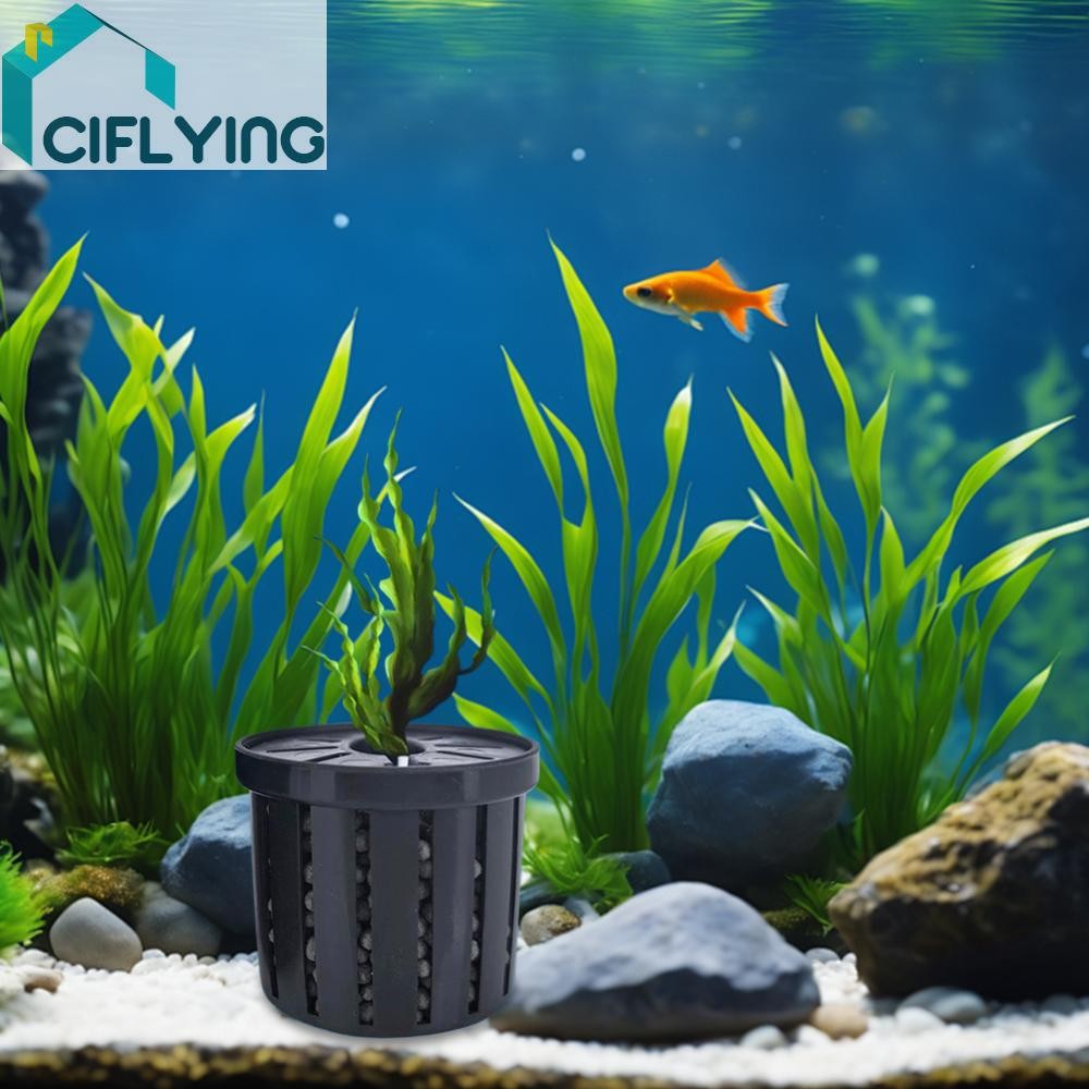 12 ชิ้น Aquarium Plant Cup Anti Floating Aquatic Plant Cup สําหรับตกแต่งตู้ปลา [Ciflying.th]
