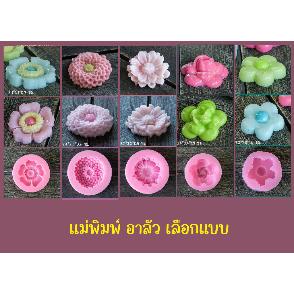 แม่พิมพ์ ฟองดองซิลิโคน สำหรับ ทำวุ้น อาลัว สัมปันนี คาร์เนชั่น เยอบีร่า และอื่นๆ มีให้เลือก 5 แบบ
