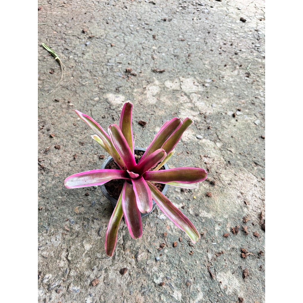 มุมมอง 4