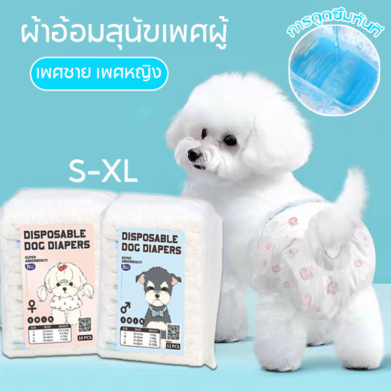 ผ้าอ้อมสุนัขเพศผู้ ผ้าอ้อมสัตว์เลี้ยง แพมเพิสสุนัข ตัวเมีย สำหรับสุนัขและแมว ผ้าอ้อมน้องหมา S/M/L/XL ราคา ถูกที่สุด ดีลบีเคเค รูปภาพหลัก