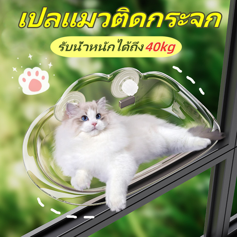 เปลแมวติดกระจก เตียงแขวนสัตว์เลี้ยง รับน้ำหนักได้ถึง สีใส รับน้ำหนักได้ 40 Kg เปลแมว