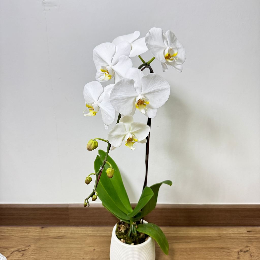 มุมมอง 4