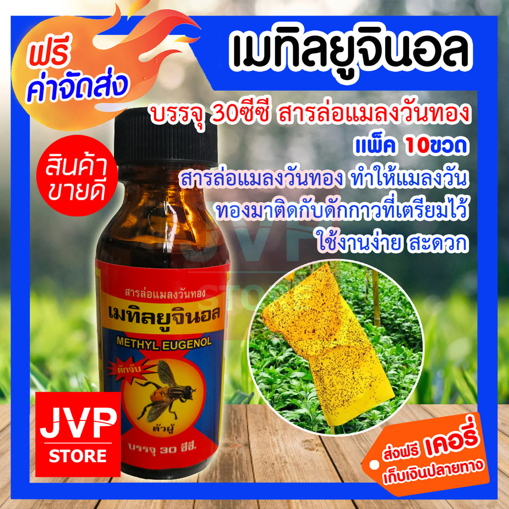 เมทิลยูจินอล บรรจุ 30/60/120ซีซี สารล่อแมลงวันทอง  (Insect Lure) สารล่อแมลงวันทอง