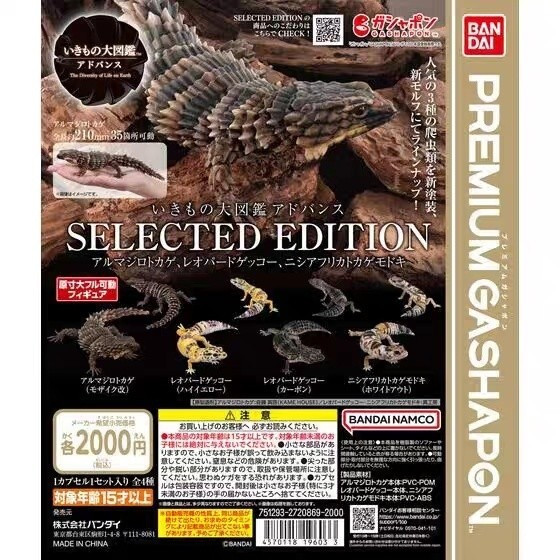 BOUTIQUE Bandai Gecko Twisted Biological Illustrated Book Armadillo Lizard Leopard Print Gecko Fat T