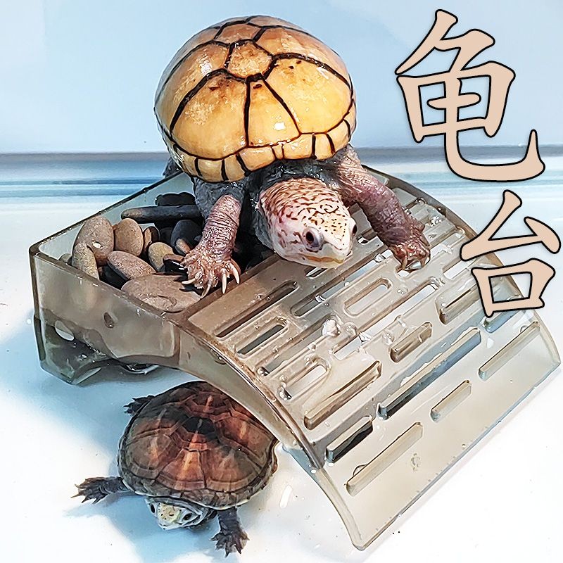 乌龟缸晒台水龟爬梯爬台宠物龟晒背岛龟缸造景躲避屋晒石头龟用品Turtle tank, sun drying platform, water turtle, ladder climbing platfo