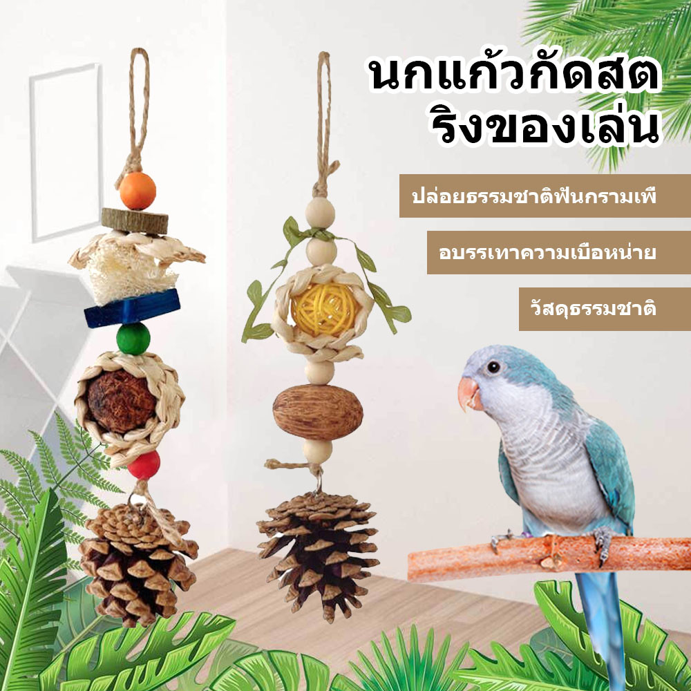 B-130 ของเล่นนกแก้ว ของเล่นหัดกัดแทะสำหรับนก วัสดุทำจากไม้และถั่วธรรมชาติ ลูกสน 21cm