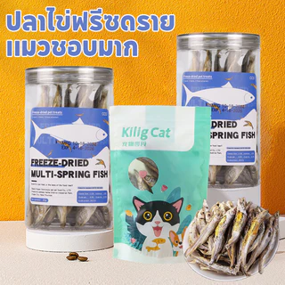 ปลาไข่ฟรีซดราย ขนมแมว freeze dried pet treat ปลาไข่แท้ ไม่ใช้วัตถุกันเสีย ขนมหมา เกรดA โปรตีนสูง