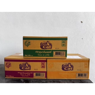 [[ยกลัง 48 ซอง ]] อาหารเปียกแมว catty cat แคทตี้แคท แบบซอง ทำจากเนื้อปลาแท้ ขนาด 80 กรัม