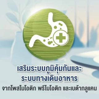 Clover อาหารเม็ดแมว เกรด Holistic Grain Free สำหรับแมว 2 เดือนขึ้นไป ขนาด 4.2 kg