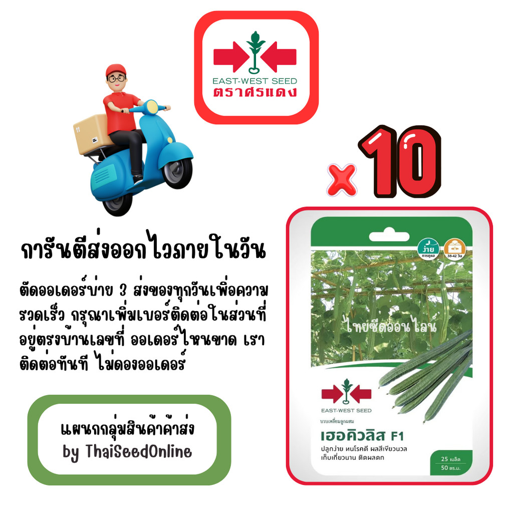 GG x 10 เมล็ดผักซองศรแดง เฮอร์คิวลิส บวบเหลี่ยม สินค้ายกแพ็ค