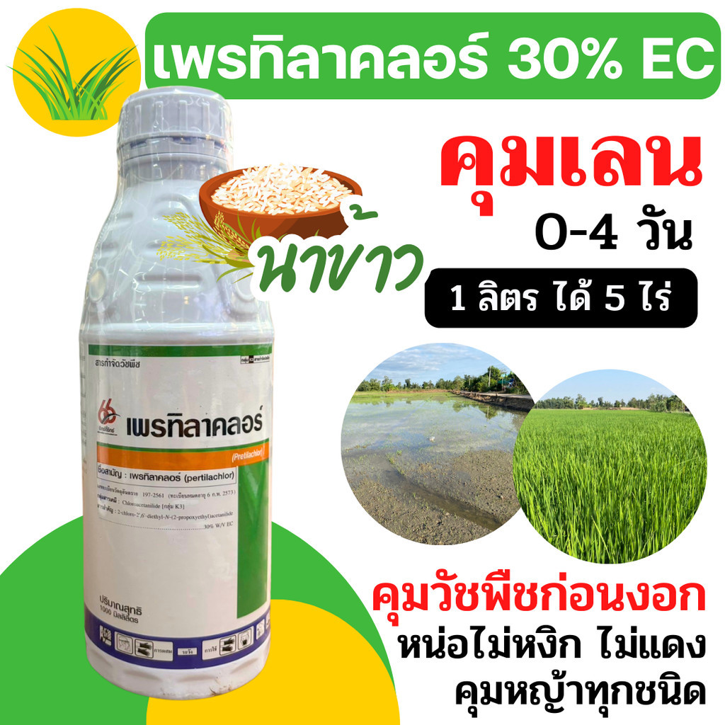 [66] เพรทิลาคลอร์ 1 ลิตร คุมเลน คุมเปียก คุมวัชพืช ในนาข้าว คุม หญ้าดอกขาว หญ้าข้าวนก โซฟิต