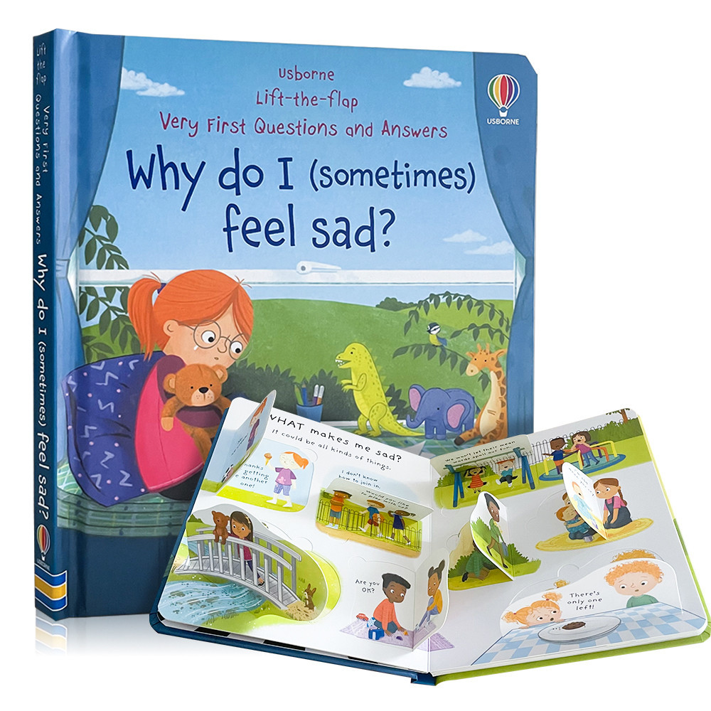 Usborne Lift The Flap Very First Questions and Answers Why Do I (Sometimes) Feel Sad? Educational English Book for Kids