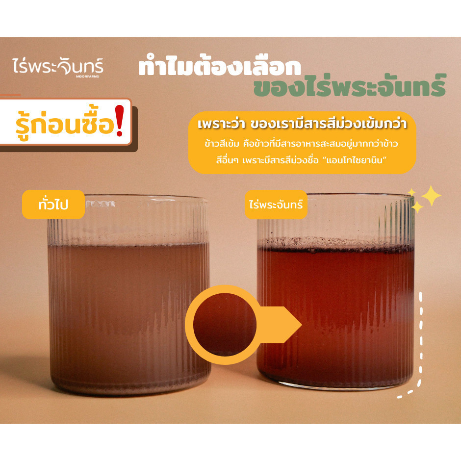 ผงจมูกข้าวไรซ์เบอร์รี่ กระปุกเล็กหมดอายุเดือน 1/2/2569 มีอย.ไม่ผสมแป้งและน้ำตาล แบรนด์ไร่พระจันทร์ ( ข้าวกล้องงอก GABA ) - รูปที่ 2