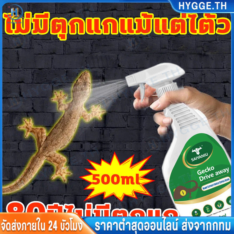 10ปีไม่มีตุ๊กแกอีก สเปรย์ไล่ตุ๊กแก 500ml ได้ผล100% หลังฉีดตุ๊กแกตาย สเปรย์ไล่จิ้งจก สกัดจากธรรมชาติ 100% เห็นผลชัดเจน