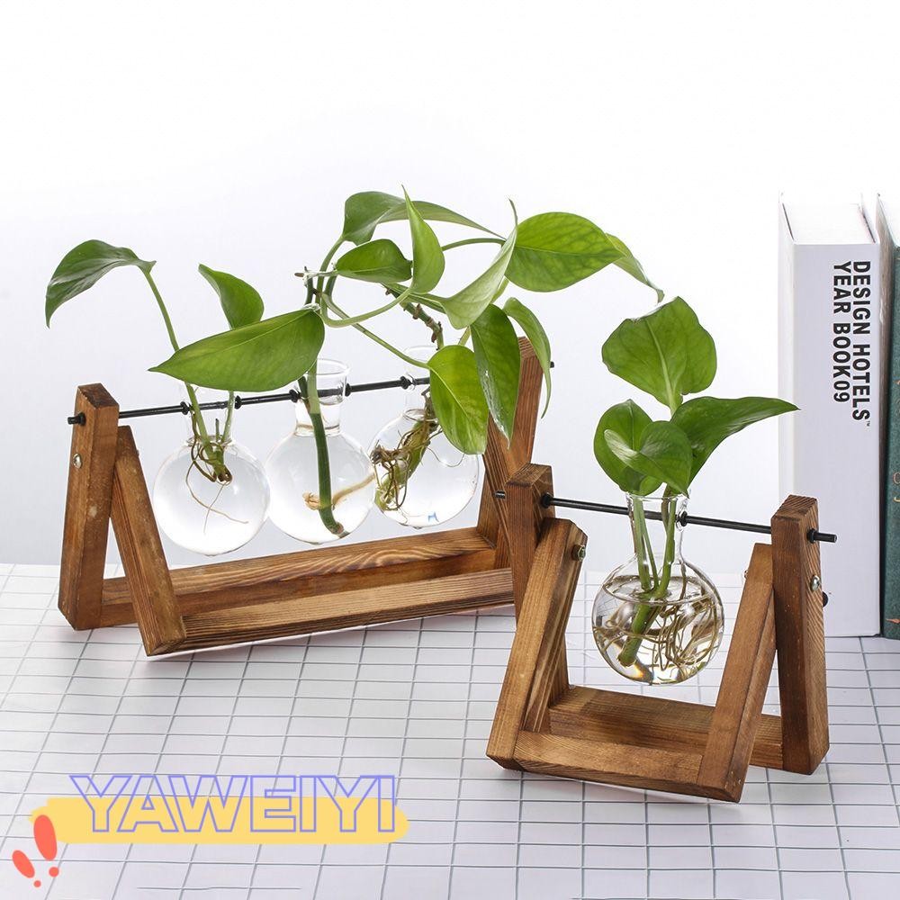 Yaweiy แจกันแก้วตกแต่ง Terrarium โต๊ะชาวไร่กระถางดอกไม้