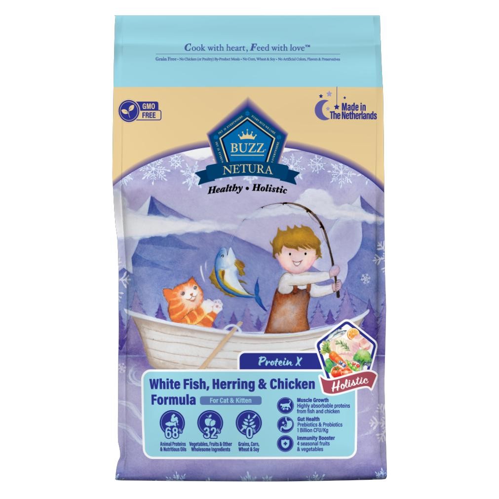 รูปภาพ 4