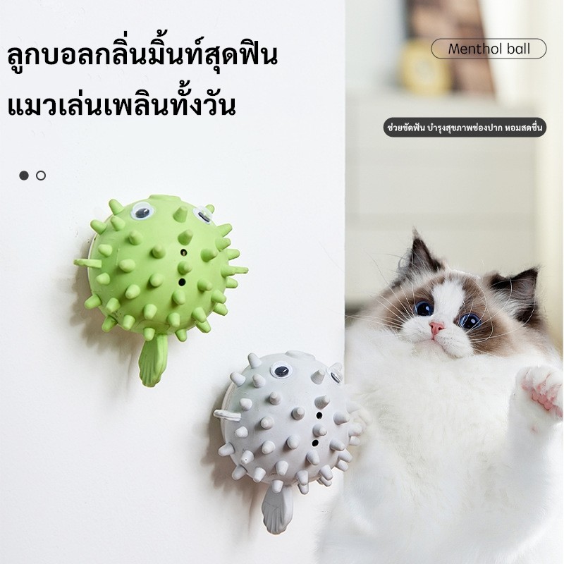 KTCAT ลูกบอลแคทนิปแมวแบบติดผนัง ของเล่นแมวหมุนได้ ช่วยขัดฟัน ลมหายใจสดชื่น สนุกคลายเครียด