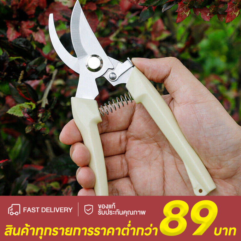 [พร้อมส่ง] กรรไกรตัดกิ่งไม้ แต่งกิ่งไม้ ปากโค้ง ปากตรง ขนาด 7 นิ้ว สีครีม ใช้งานอเนกประสงค์ ราคา/ชิ้น พร้อมส่งในไทย