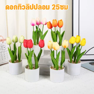 พร้อมส่ง ดอกทิวลิป พร้อมดอกไม้3ดอกและกระถาง ของตกแต่งบ้าน พร้อพถ่ายรูป โต๊ะทำงาน ดอกไม้ปลอม