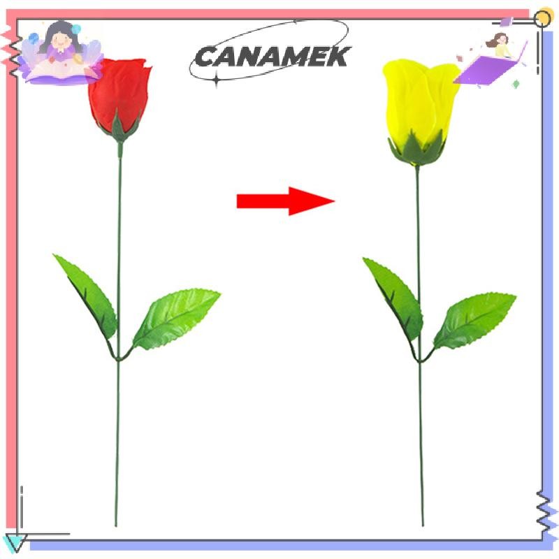 [technicolor] กุหลาบเปลี่ยนสี (แดงเปลี่ยนเหลือง) กุหลาบ Tricks Change Roses New Stock
