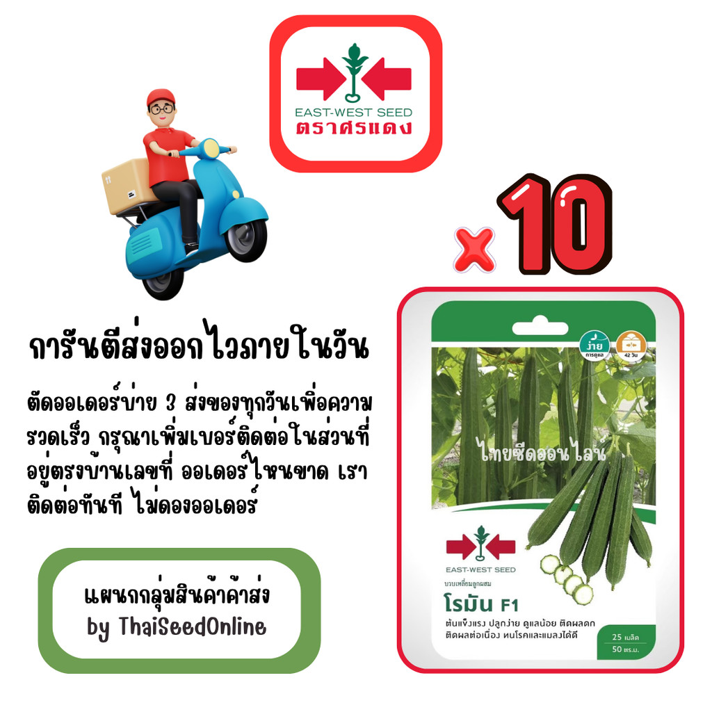 GG x 10 เมล็ดผักซองศรแดง โรมัน บวบเหลี่ยม สินค้ายกแพ็ค