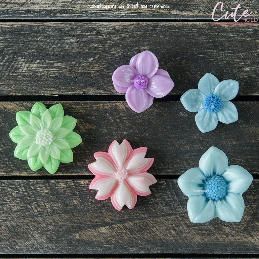 มีสินค้า/ แม่พิมพ์ อาลัว สัมปันนี วุ้น แม่พิมพ์ฟองดอง ดาวเรือง ชบา พุดตาน x27 x29 x31 x32 x35 x36 x25 x33 x34 (เลือกแบบ) - รูปที่ 6