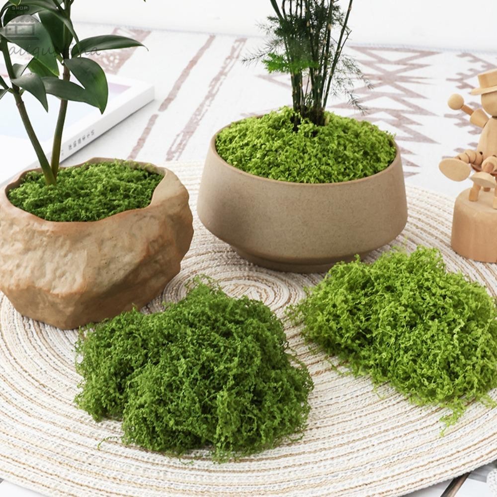 AUGUSTINA มอสปลอม, ตะไคร่น้ําเทียมสีเขียวสิ่งแวดล้อม, สวนหัตถกรรม DIY โพลีเอสเตอร์ทนทานมอสหญ้าตกแต่งสวน
